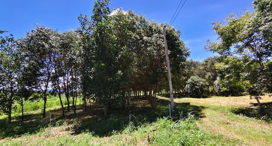 For sale land in Ban Kha, Ratchaburi