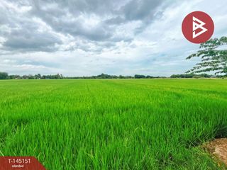For sale land in Don Chedi, Suphan Buri