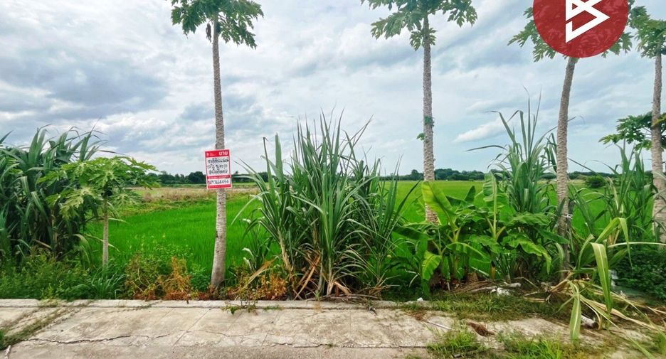 For sale land in Don Chedi, Suphan Buri