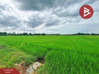 For sale land in Don Chedi, Suphan Buri