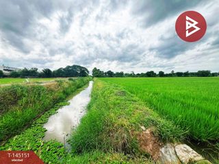 For sale land in Don Chedi, Suphan Buri