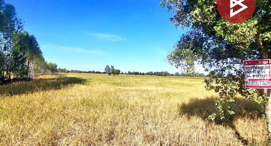 For sale land in Changhan, Roi Et