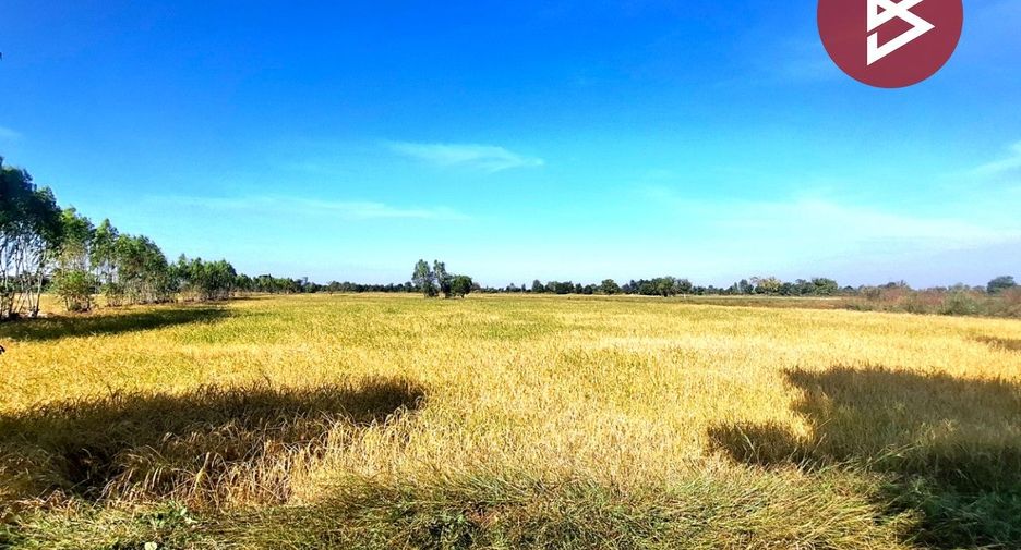 For sale land in Changhan, Roi Et