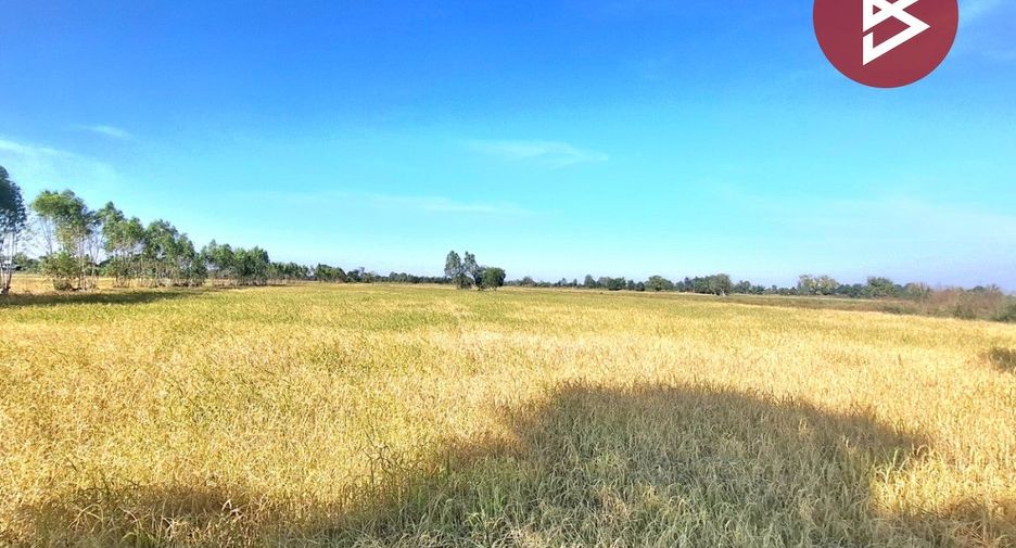 For sale land in Changhan, Roi Et