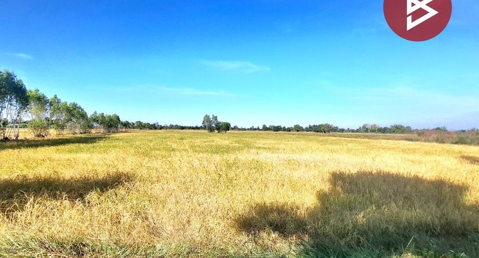 For sale land in Changhan, Roi Et