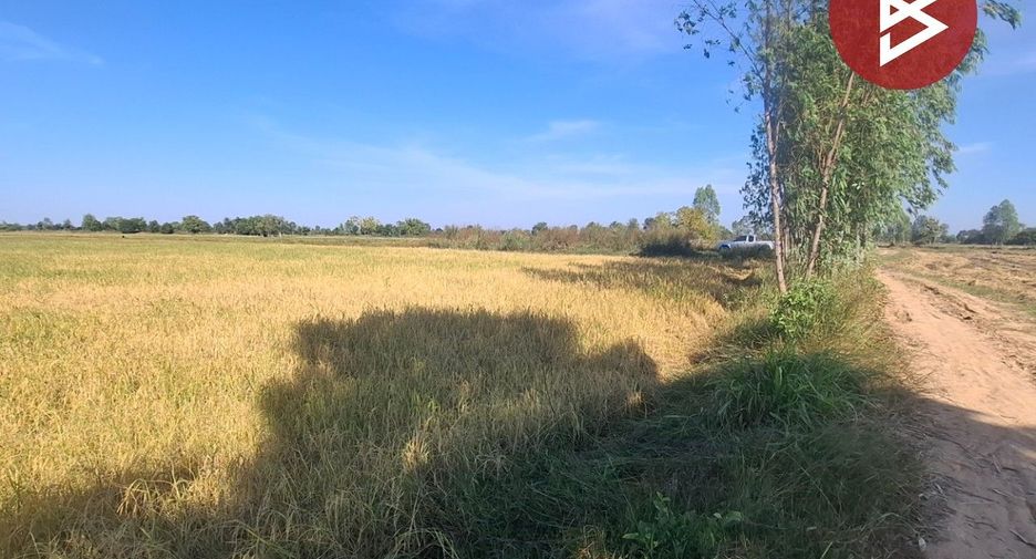 For sale land in Changhan, Roi Et