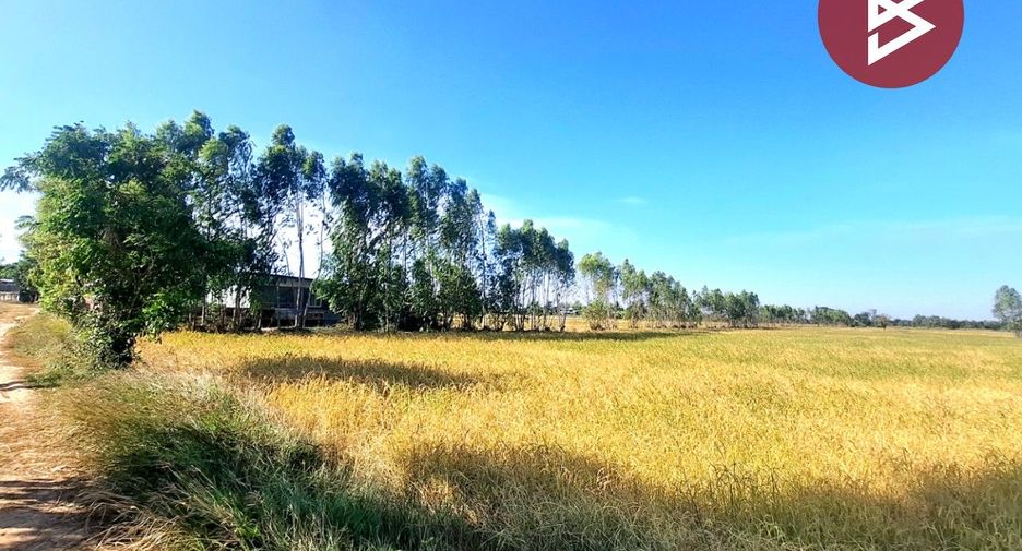 For sale land in Changhan, Roi Et