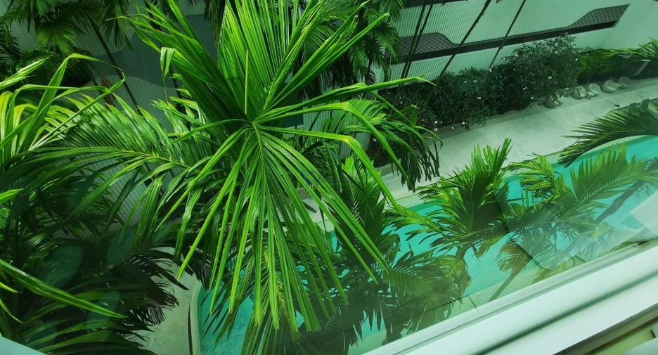 For rent 1 bed condo in Mueang Phuket, Phuket