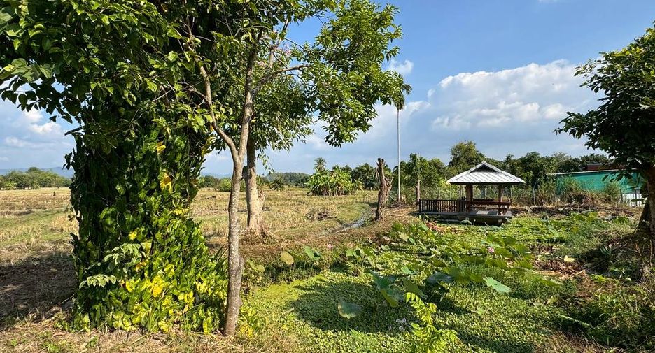 For rent and for sale 2 bedrooms house in Mae Rim, Chiang Mai