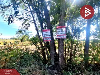For sale land in Changhan, Roi Et
