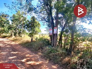 For sale land in Changhan, Roi Et