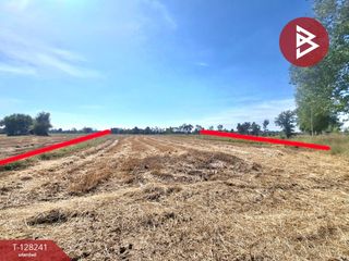 For sale land in Changhan, Roi Et