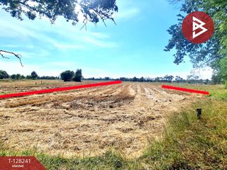 For sale land in Changhan, Roi Et