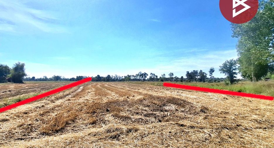 For sale land in Changhan, Roi Et