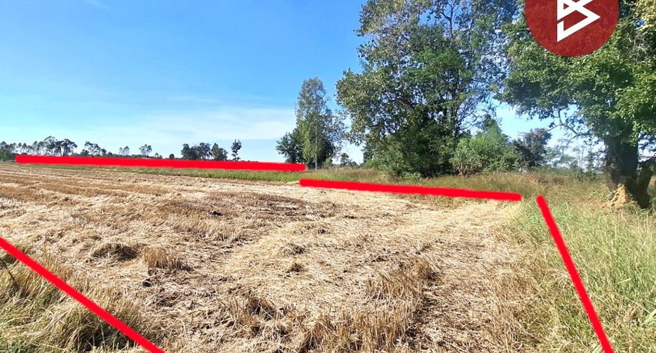 For sale land in Changhan, Roi Et