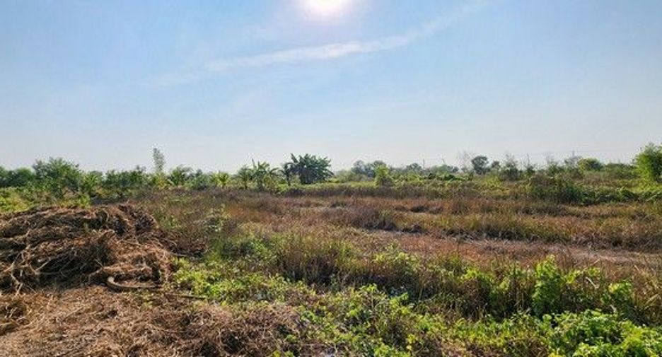 Grundstück zum Kauf in Ongkharak, Nakhon Nayok