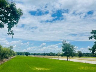 For sale land in Khanu Woralaksaburi, Kamphaeng Phet