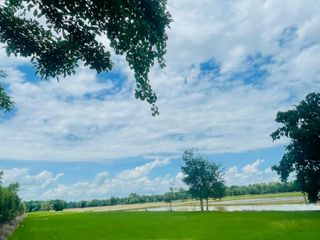 For sale land in Khanu Woralaksaburi, Kamphaeng Phet