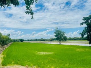 For sale land in Khanu Woralaksaburi, Kamphaeng Phet