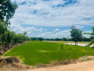 For sale land in Khanu Woralaksaburi, Kamphaeng Phet