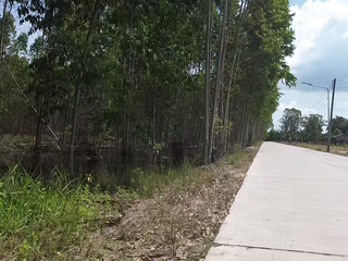 Grundstück zum Kauf in Ban Chang, Rayong