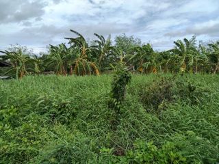 For sale land in Bang Phli, Samut Prakan