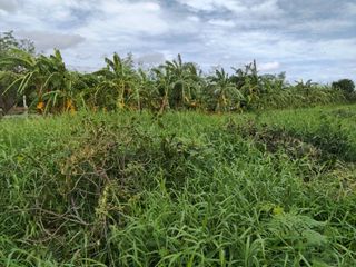 For sale land in Bang Phli, Samut Prakan