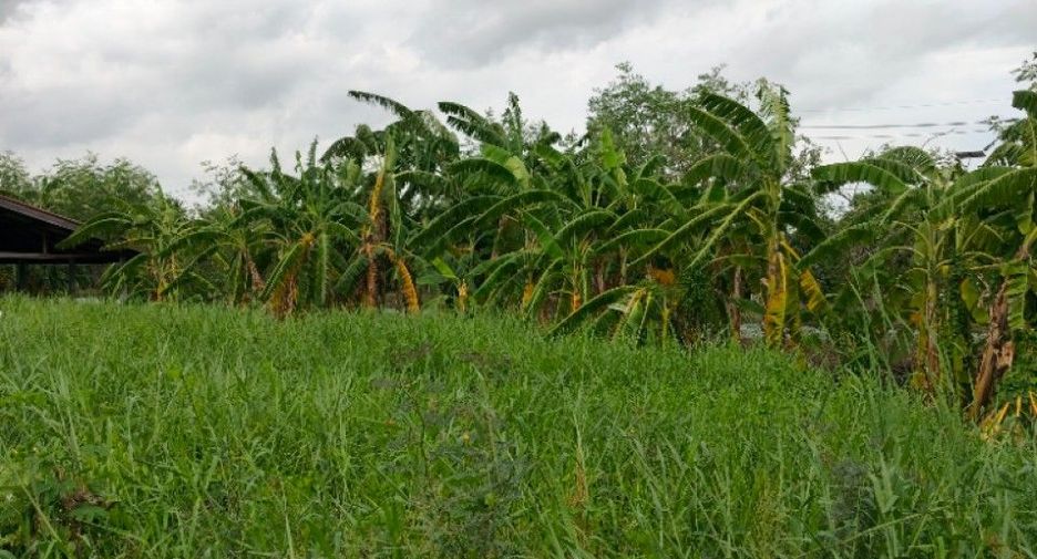 For sale land in Bang Phli, Samut Prakan