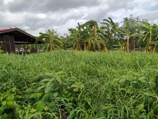 For sale land in Bang Phli, Samut Prakan