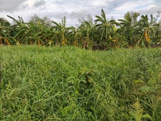 For sale land in Bang Phli, Samut Prakan