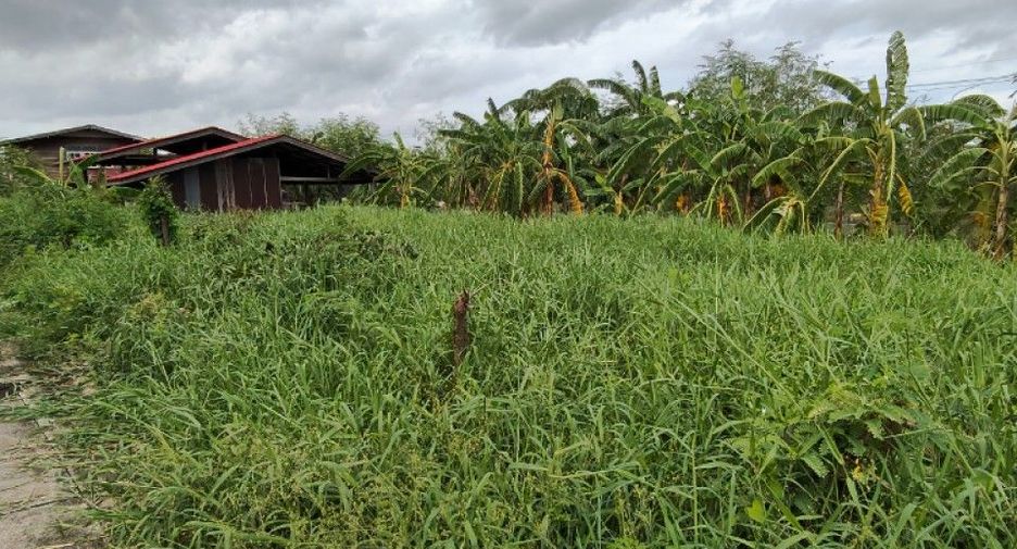 For sale land in Bang Phli, Samut Prakan