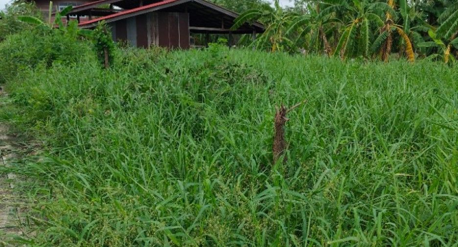 For sale land in Bang Phli, Samut Prakan