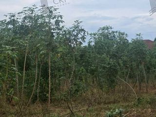 Grundstück zum Kauf in Sattahip, Chonburi