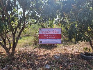 Grundstück zum Kauf in Mueang Nakhon Phanom, Nakhon Phanom
