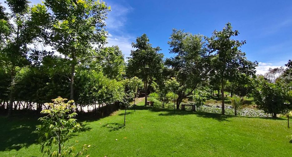For sale land in Ban Kha, Ratchaburi
