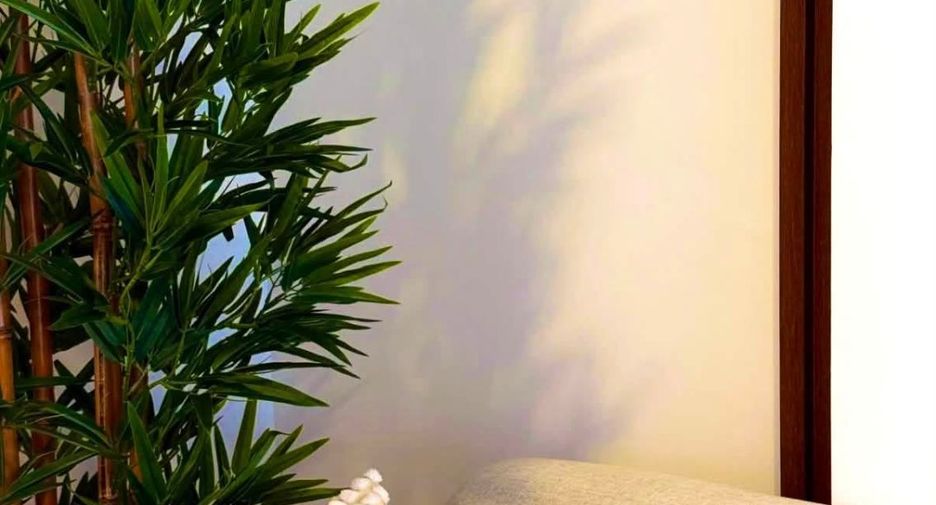 For rent 1 bed condo in Kathu, Phuket