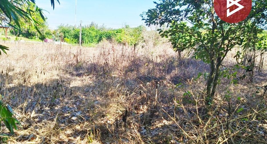 For sale land in Ko Chan, Chonburi