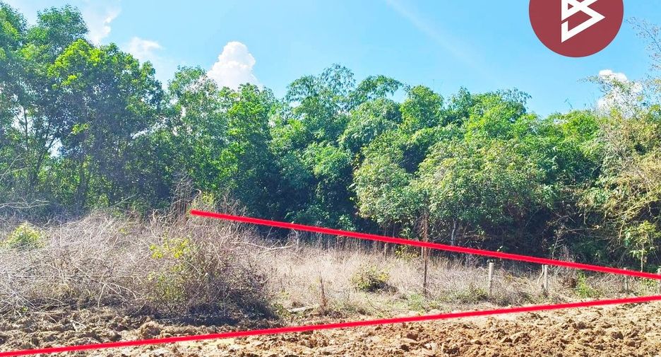 For sale land in Ko Chan, Chonburi