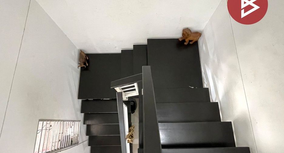 For sale 3 bedrooms townhouse in Phra Samut Chedi, Samut Prakan