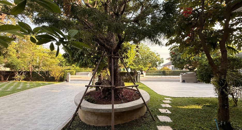 For rent and for sale 5 bedrooms house in San Kamphaeng, Chiang Mai