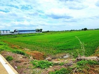 For sale land in Thanyaburi, Pathum Thani