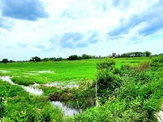 For sale land in Thanyaburi, Pathum Thani
