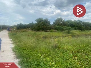 For sale land in Mueang Lamphun, Lamphun