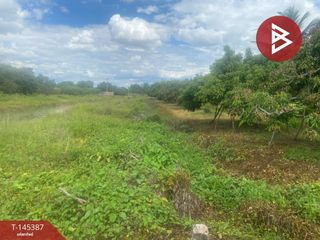For sale land in Mueang Lamphun, Lamphun
