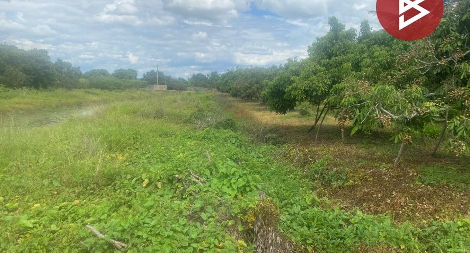 For sale land in Mueang Lamphun, Lamphun