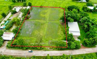 For sale land in Mueang Nong Khai, Nong Khai