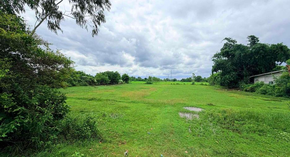 ขาย ที่ดิน ใน เมืองหนองคาย, หนองคาย