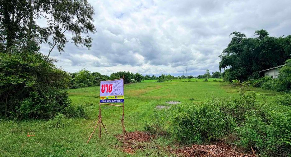 ขาย ที่ดิน ใน เมืองหนองคาย, หนองคาย
