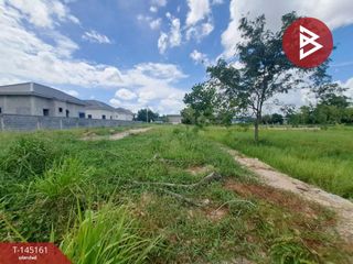 For sale land in Phan Thong, Chonburi