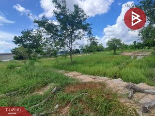 For sale land in Phan Thong, Chonburi